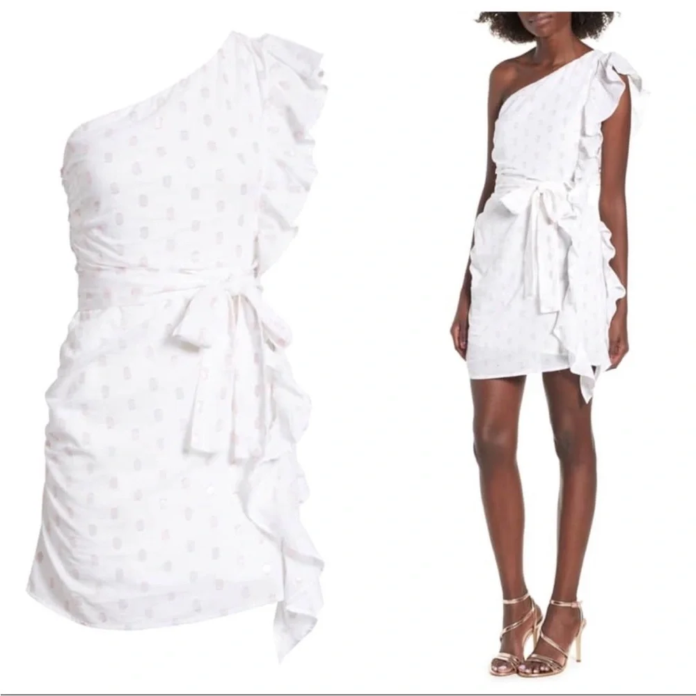 “LOVERS + FRIENDS” X Revolve Whitney Rose Dress - Picture 5 of 16